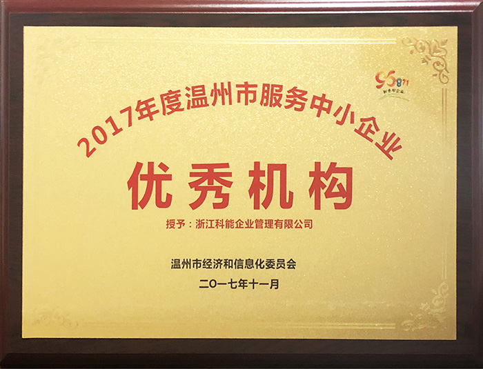 2017年度溫州市服務(wù)中小企業(yè)優(yōu)秀機(jī)構(gòu)(39.7X29.8).JPG